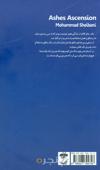 معراج خاکستر