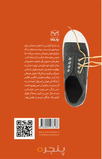 هوش هیجانی بزرگسال - مهارتهای بین فردی